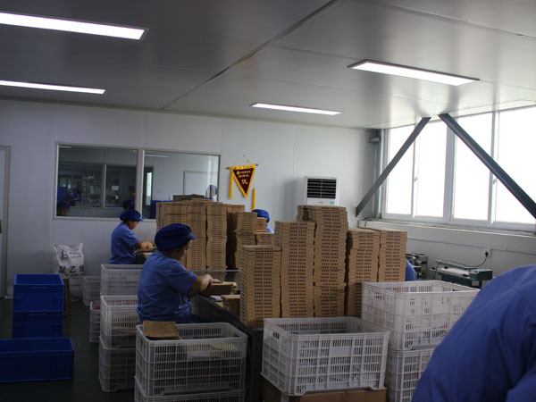 河南哪家膏藥代加工廠家生產的膏藥好？